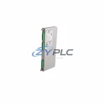 Bently Nevada 12822901 Vibration Monitoring Module