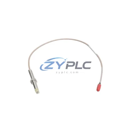 BN 21504-000-016-10-02 Vibration Sensor 21000