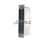 Bently Nevada 82365-01 Signal Input Module 3300