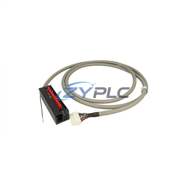 Honeywell 900RTC-BA50 Analog Output RTP Cable | HC900