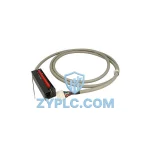 Honeywell 900RTC-BA50 Analog RTP Cable for Experion Systems