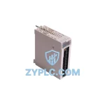 Schneider BMXAMO0410 Industrial Network Interface for M340 Systems